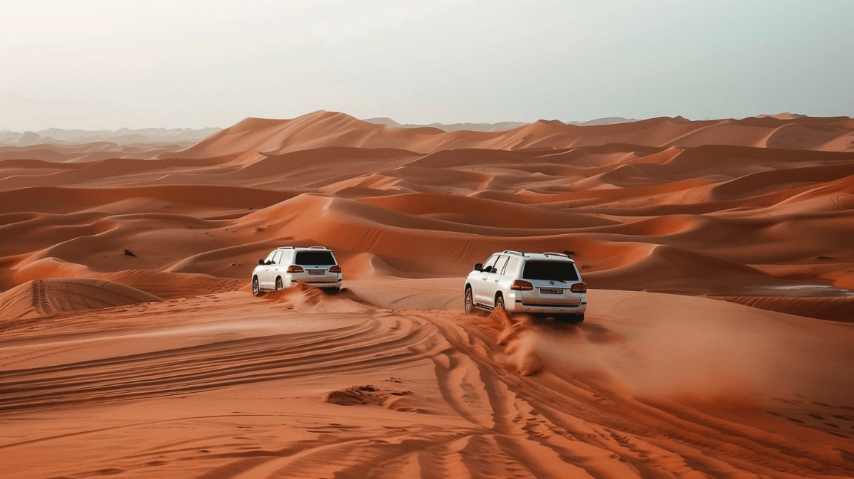 Desert Safari